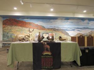 Bighorn sheep center